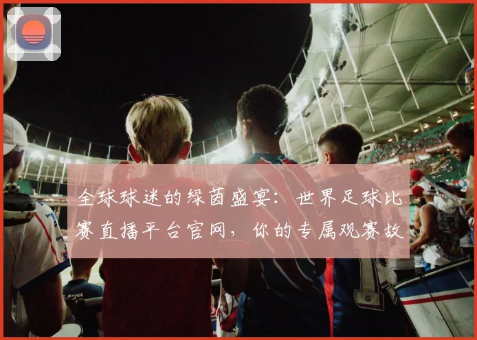 全球球迷的绿茵盛宴：世界足球比赛直播平台官网，你的专属观赛故事