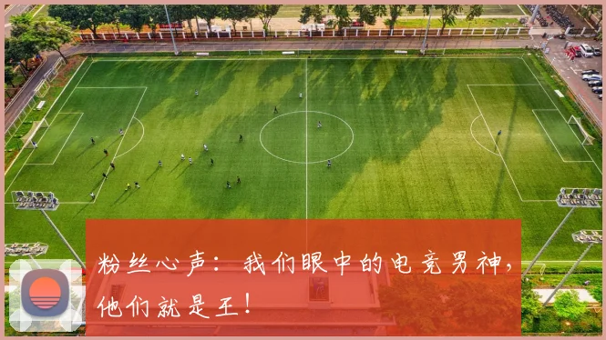 粉丝心声：我们眼中的电竞男神，他们就是王！