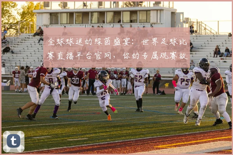 全球球迷的绿茵盛宴：世界足球比赛直播平台官网，你的专属观赛故事